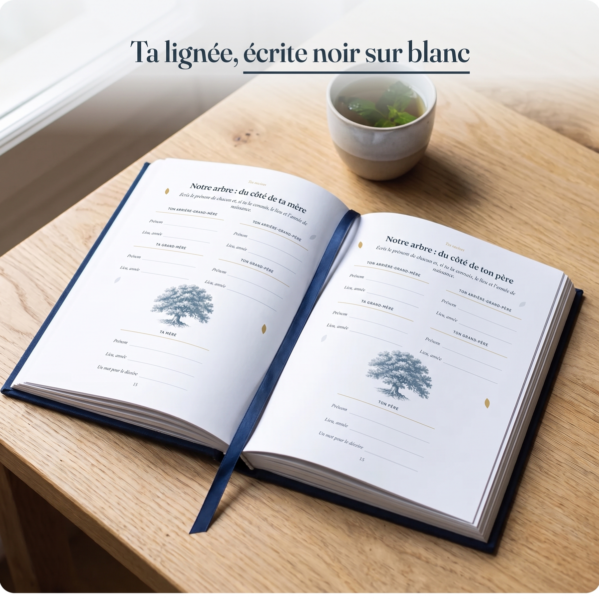 La page arbre généalogique du journal Abi, ta lignée écrite noir sur blanc